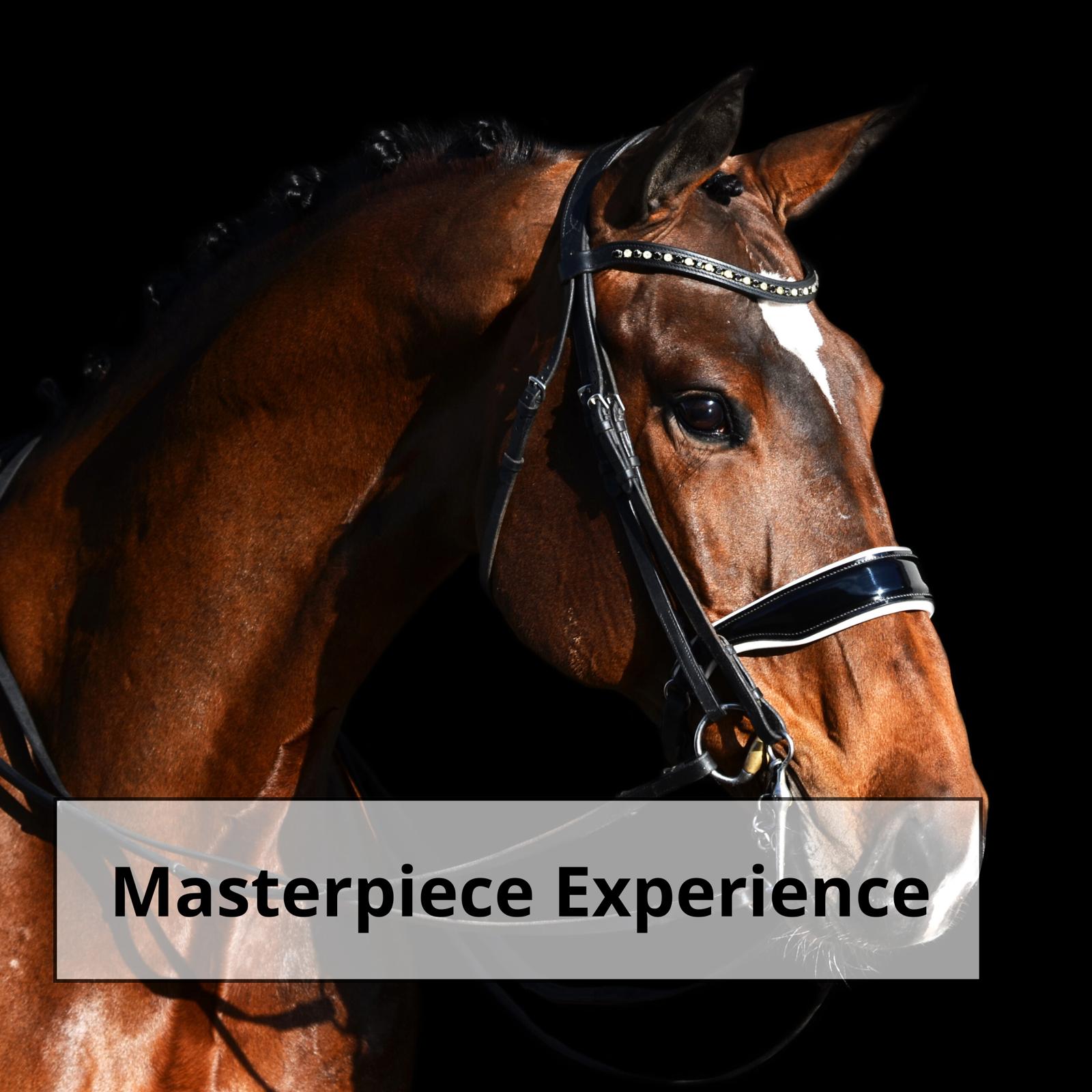 Masterpiece Experience